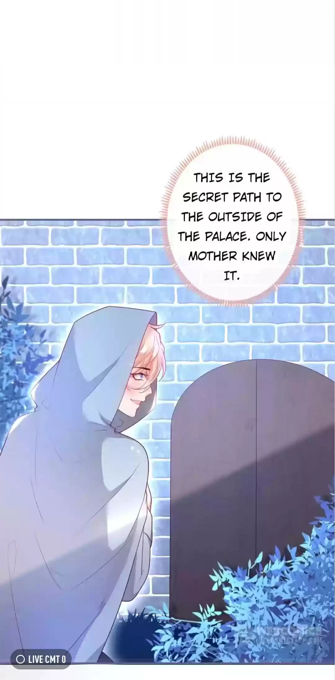 The Prince And His Mischievous One Chapter 70