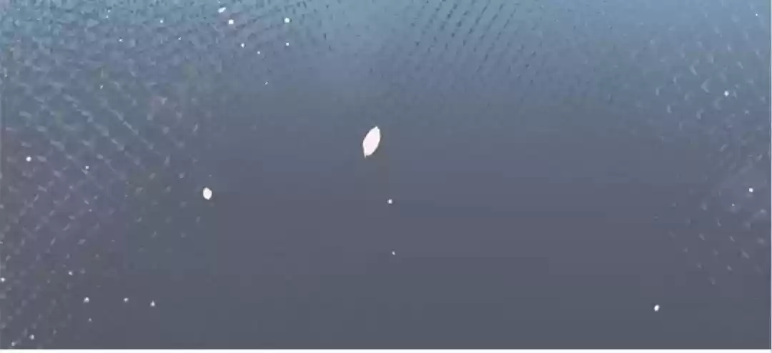 The Prince And His Mischievous One Chapter 89