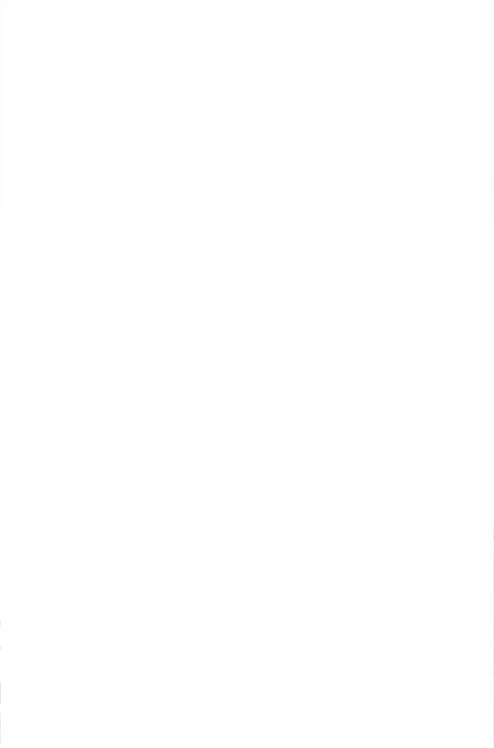 The Prince Has Lost His Mind 101 The Dragon Boat Festival Extra