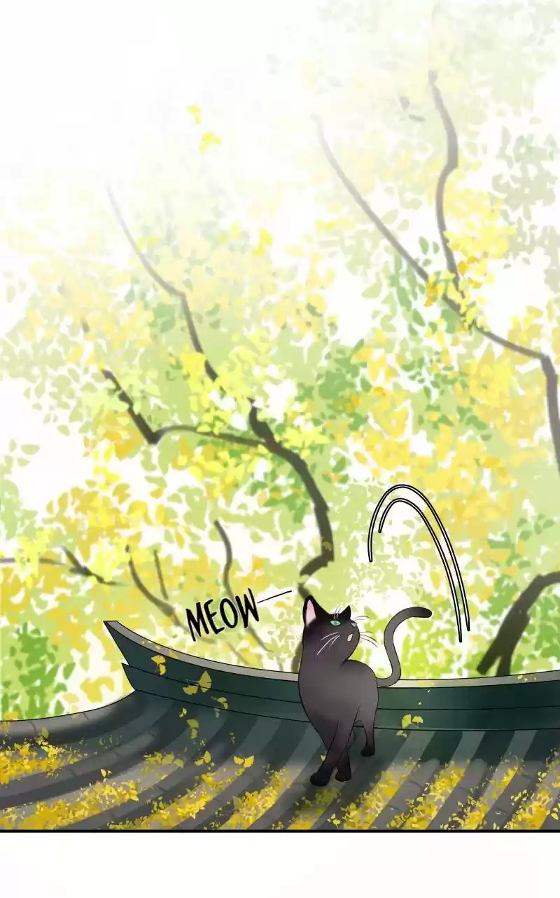 The Prince Has Lost His Mind 37 The Cat Chaplain