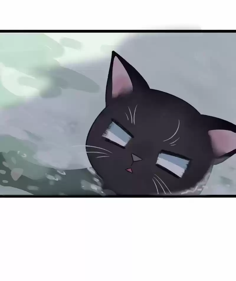 The Prince Has Lost His Mind 37 The Cat Chaplain