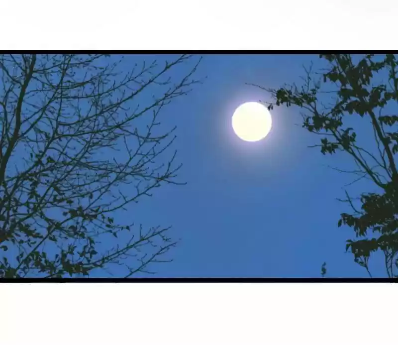 The Prince Has Lost His Mind 47 The Crown Prince's Chamber