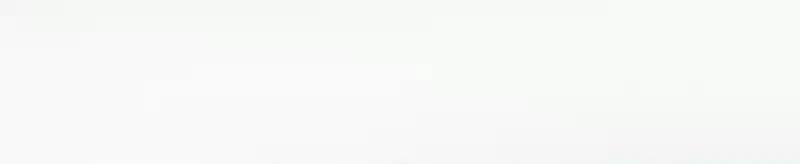 The Prince Has Lost His Mind 53.1 See Through