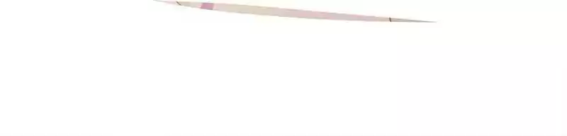 The Prince Has Lost His Mind 53.1 See Through