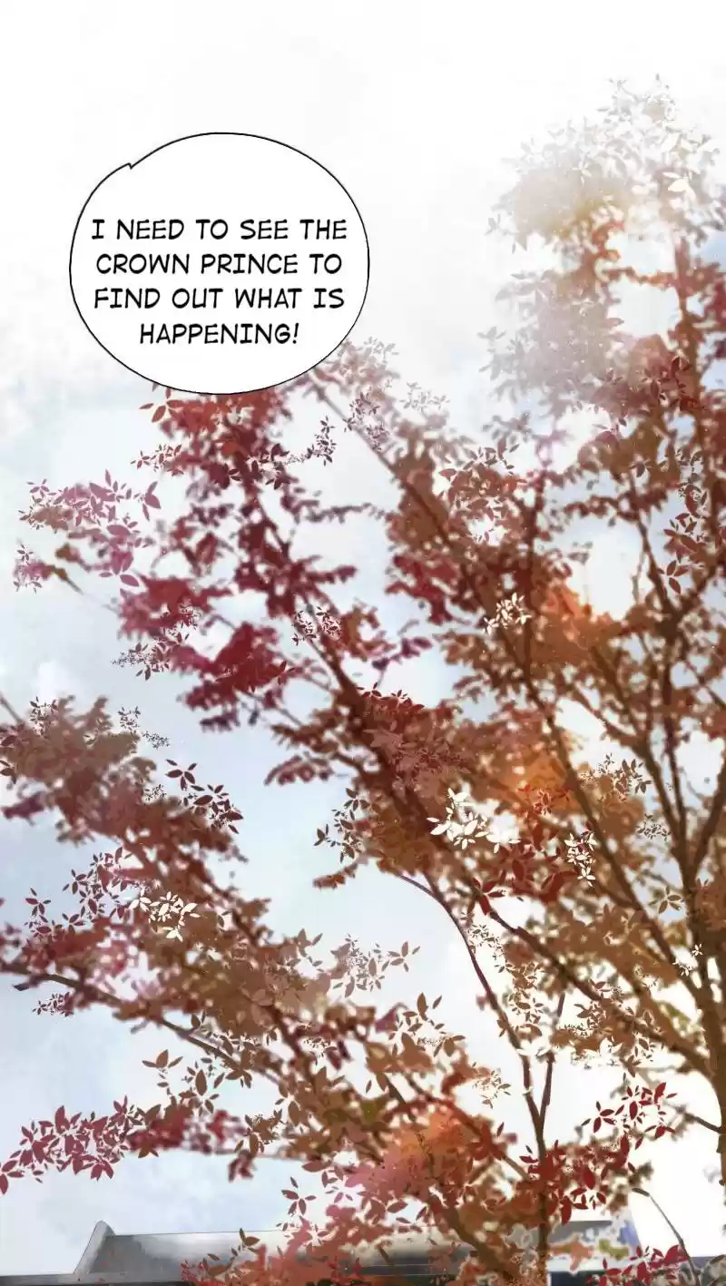 The Prince Has Lost His Mind 91 The Crown Prince Who Fainted