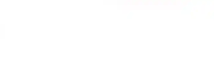 The Prince Has Lost His Mind Chapter 49.2