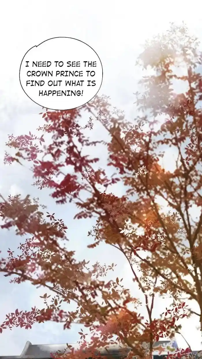 The Prince Has Lost His Mind Chapter 80