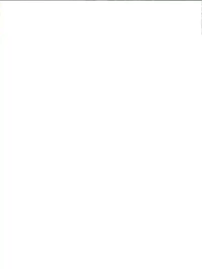 The Prince Regent’S Concubines Chapter 156