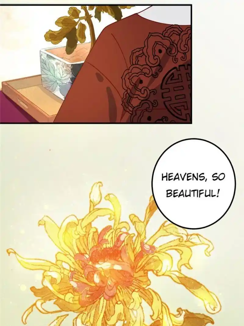 The Prince Regent’S Concubines Chapter 16