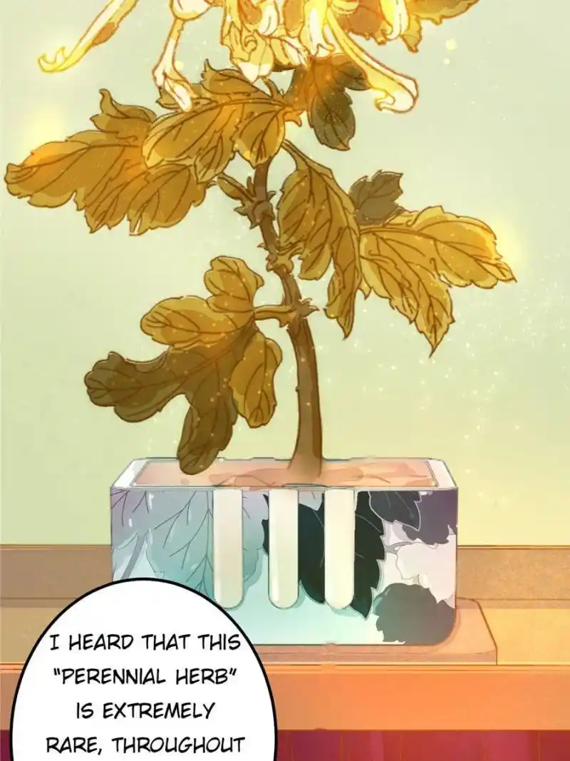 The Prince Regent’S Concubines Chapter 16