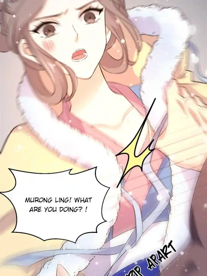 The Prince Regent’S Concubines Chapter 45