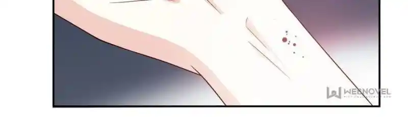 The Prince Regent’S Concubines Chapter 66