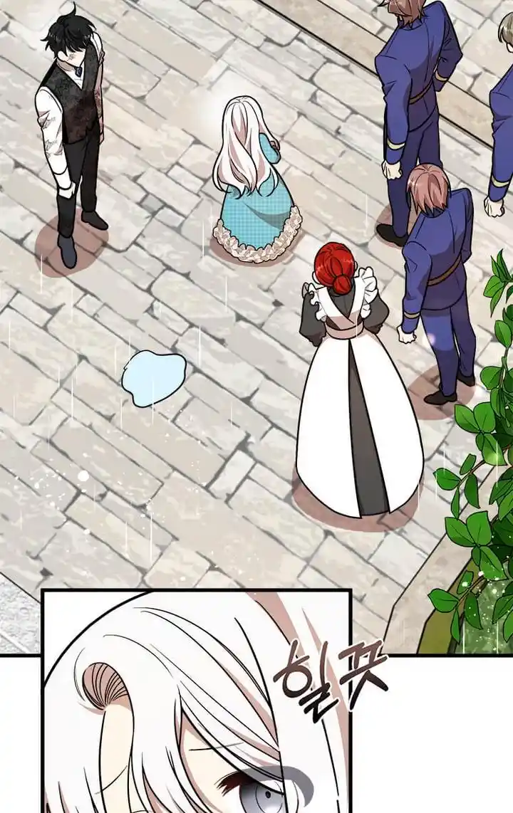 The Princess’ Dangerous Brothers Chapter 23