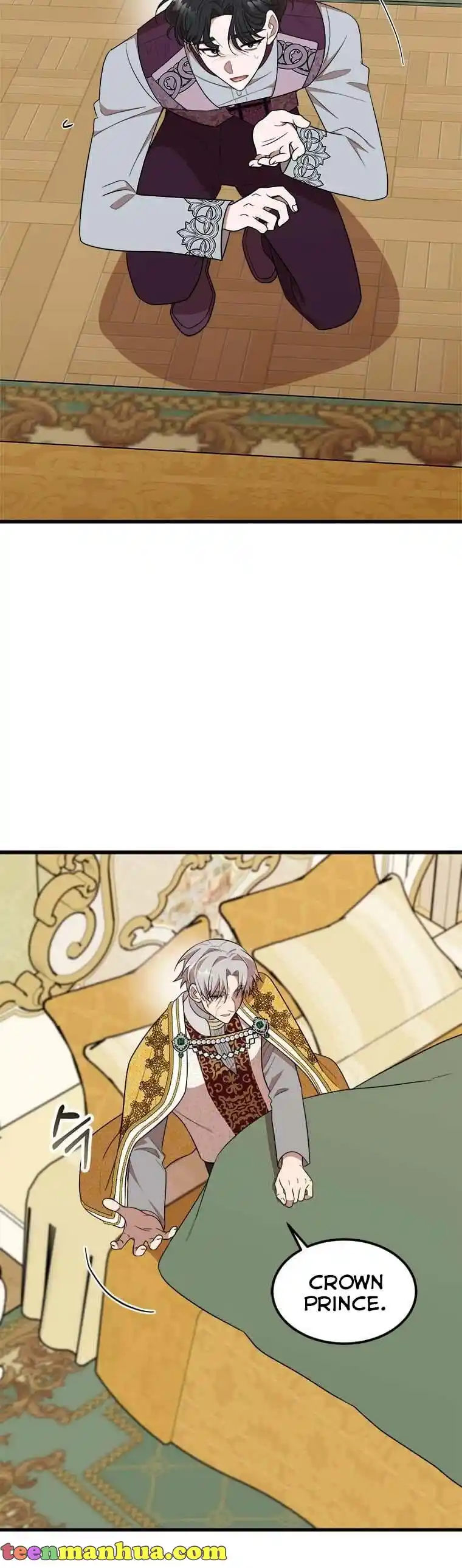 The Princess’ Dangerous Brothers Chapter 33