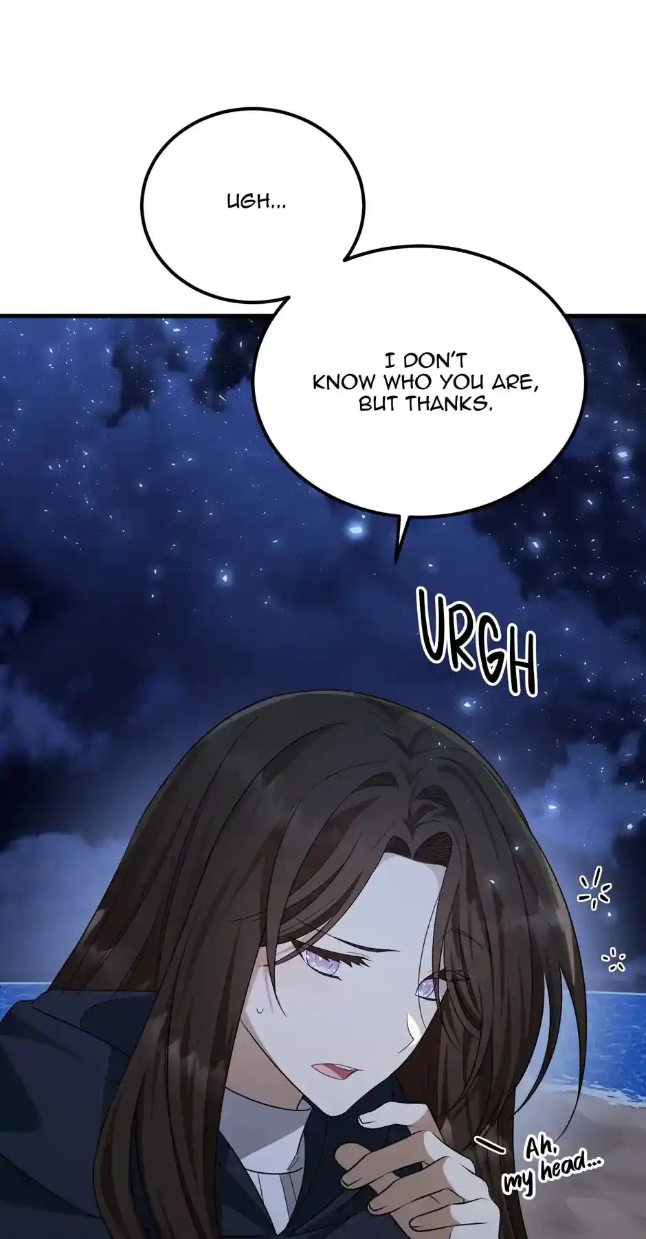 The Princess' Dangerous Brothers Chapter 41