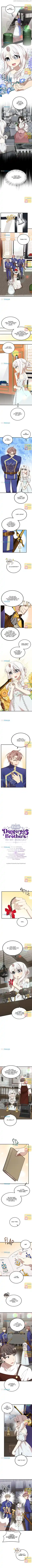 The Princess’ Dangerous Brothers Chapter 47