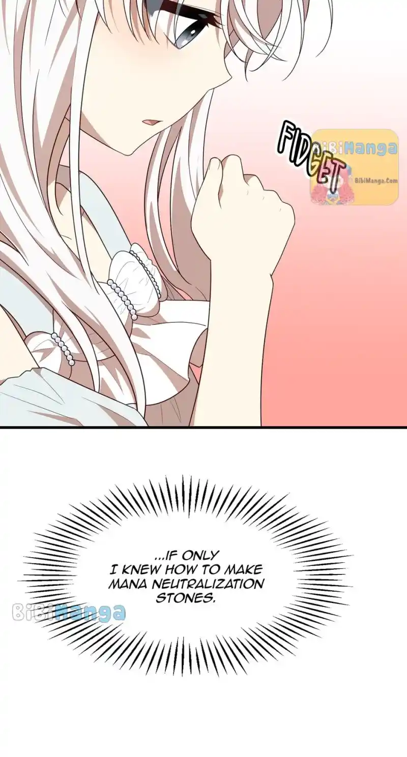 The Princess’ Dangerous Brothers Chapter 48