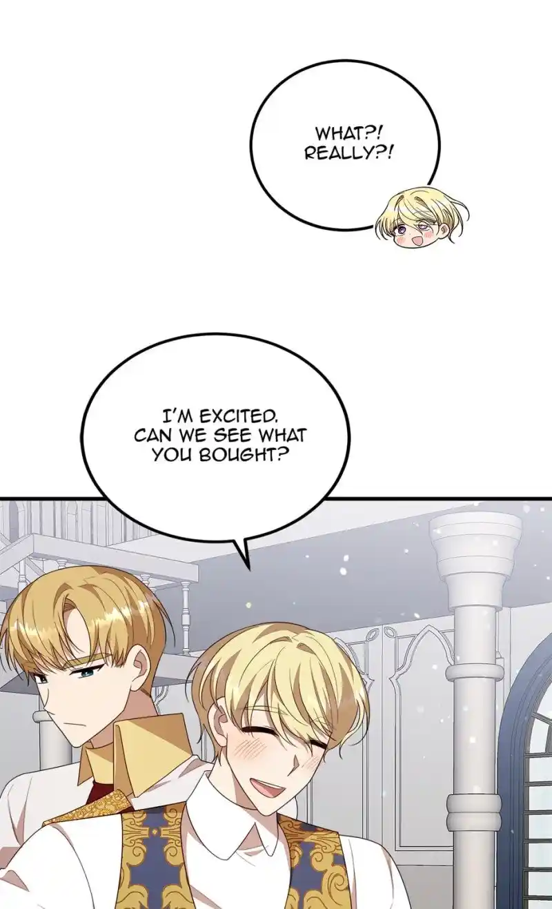 The Princess’ Dangerous Brothers Chapter 48