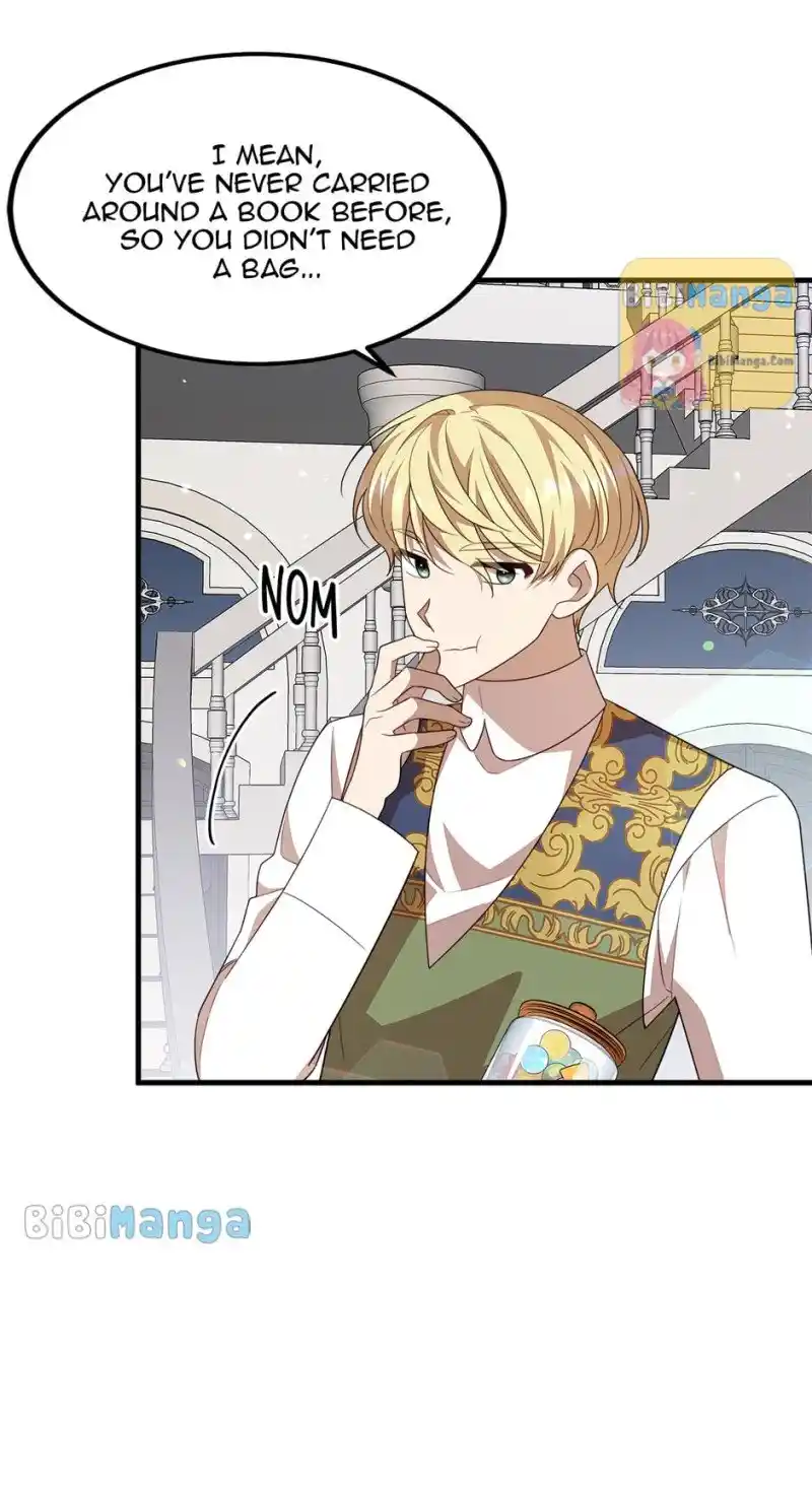 The Princess’ Dangerous Brothers Chapter 48