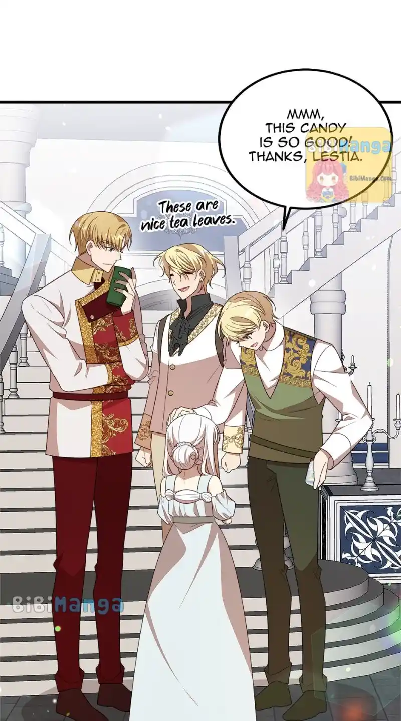 The Princess’ Dangerous Brothers Chapter 48