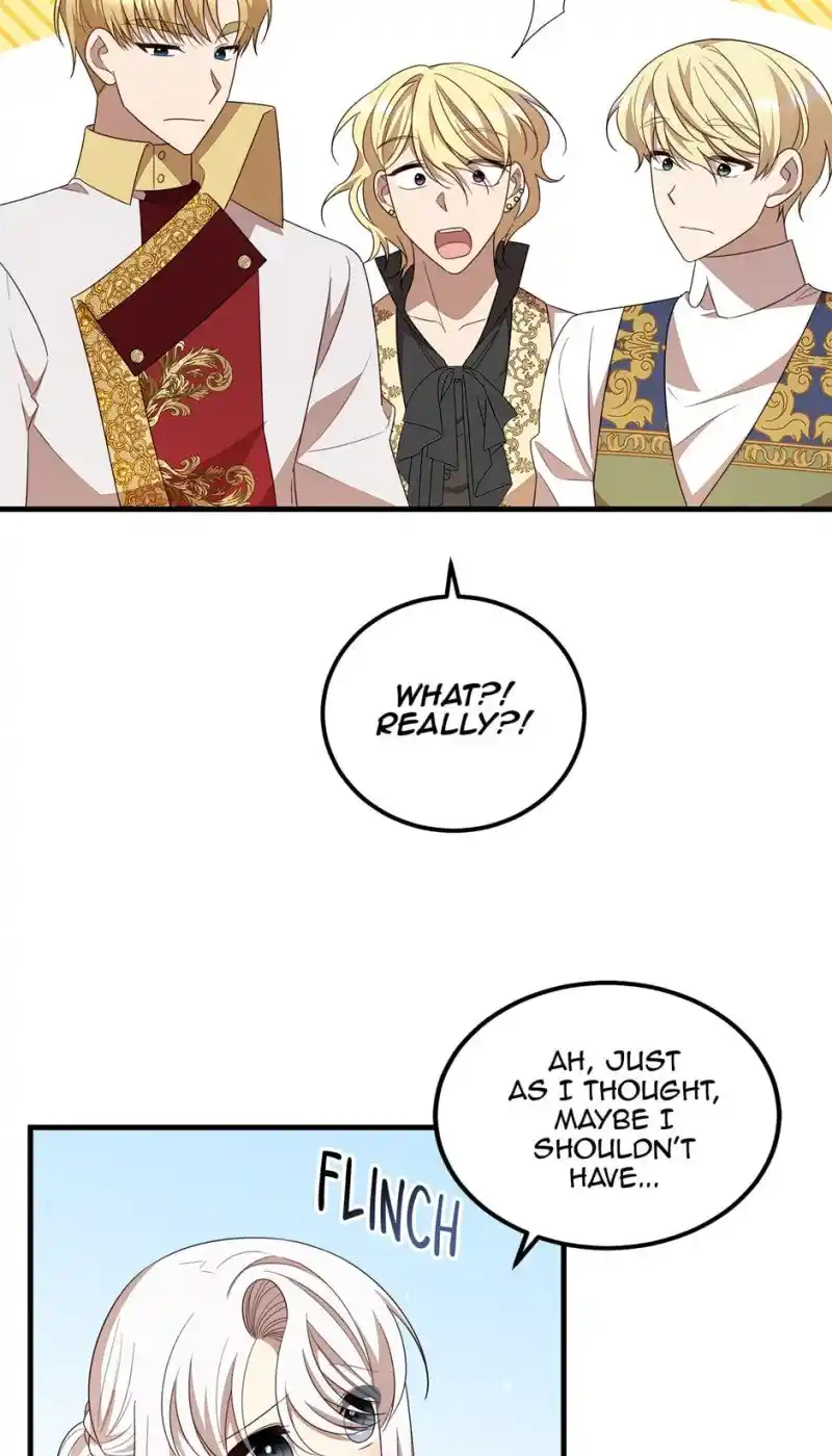 The Princess’ Dangerous Brothers Chapter 48