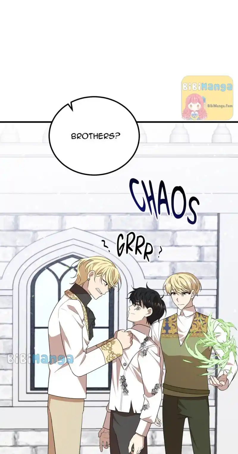 The Princess’ Dangerous Brothers Chapter 49