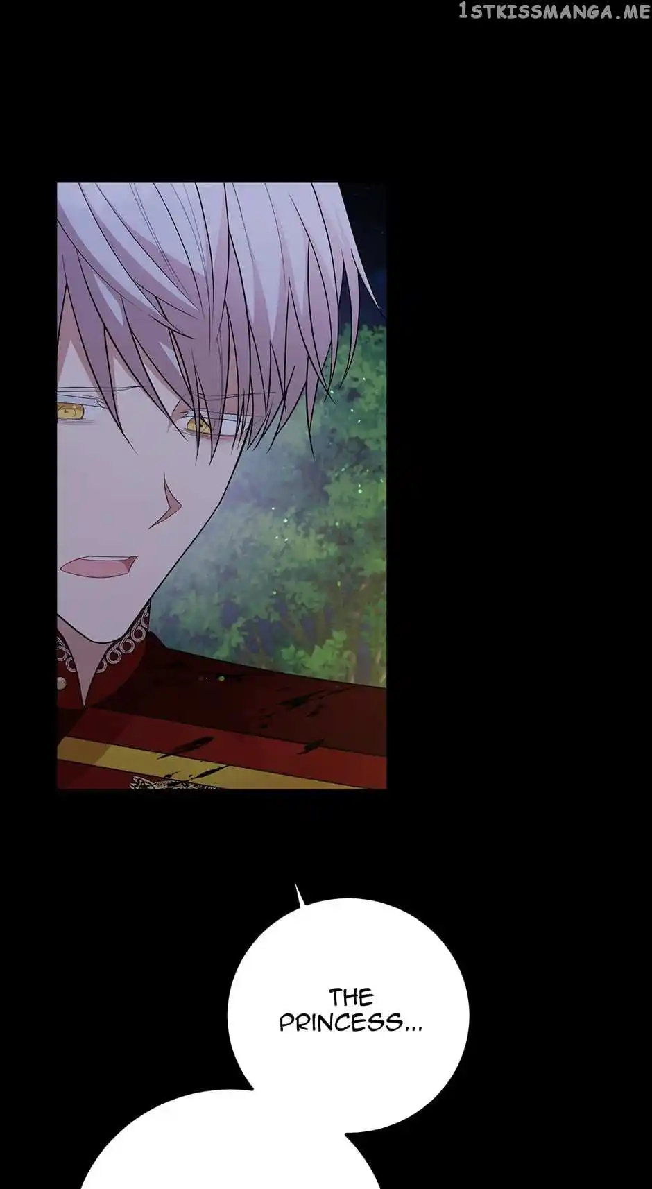 The Princess’ Dangerous Brothers Chapter 61