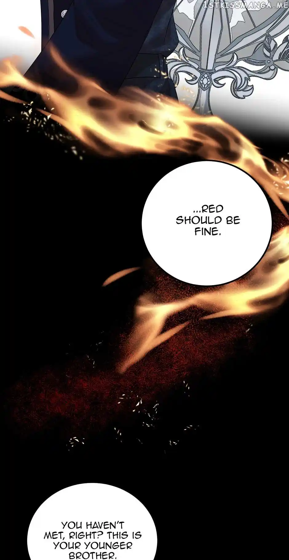 The Princess’ Dangerous Brothers Chapter 62