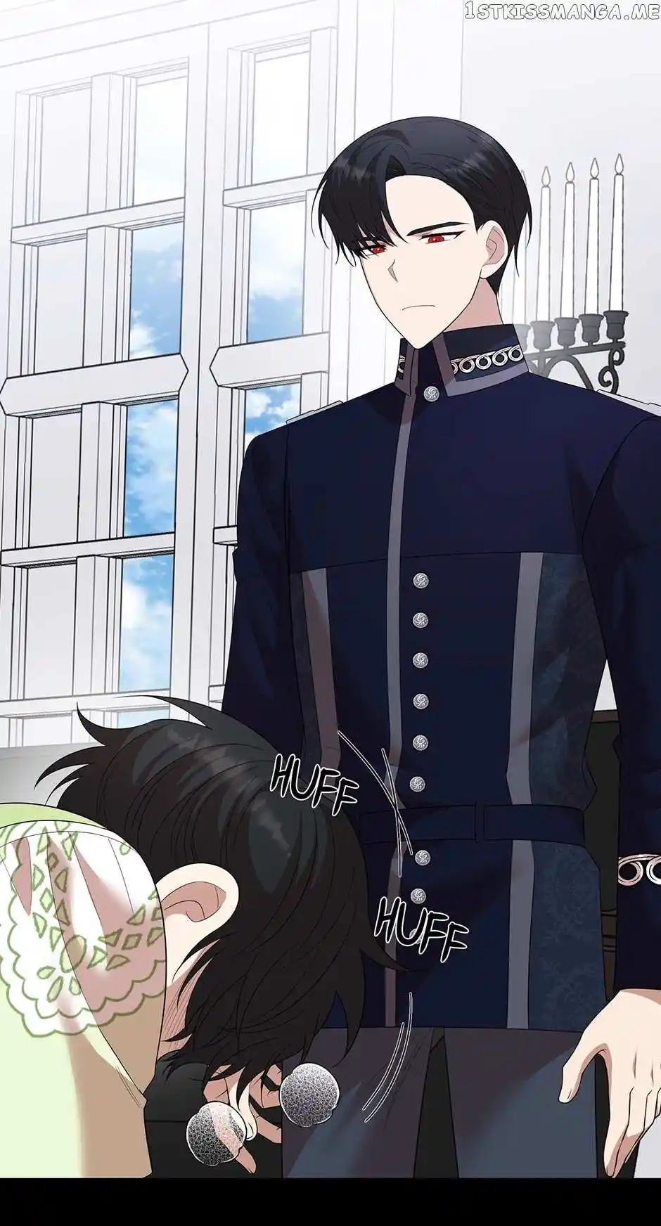 The Princess’ Dangerous Brothers Chapter 62