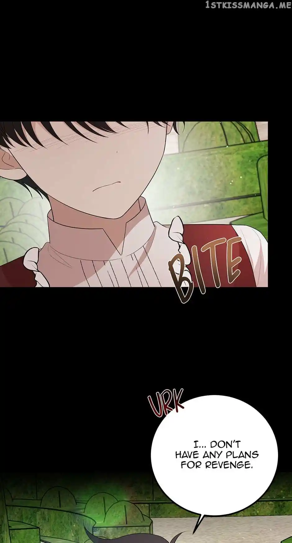 The Princess’ Dangerous Brothers Chapter 62