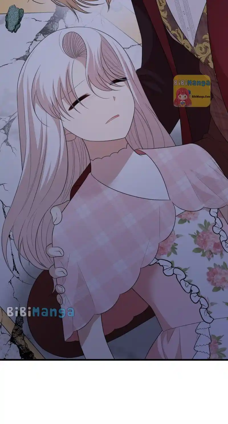 The Princess’ Dangerous Brothers Chapter 70