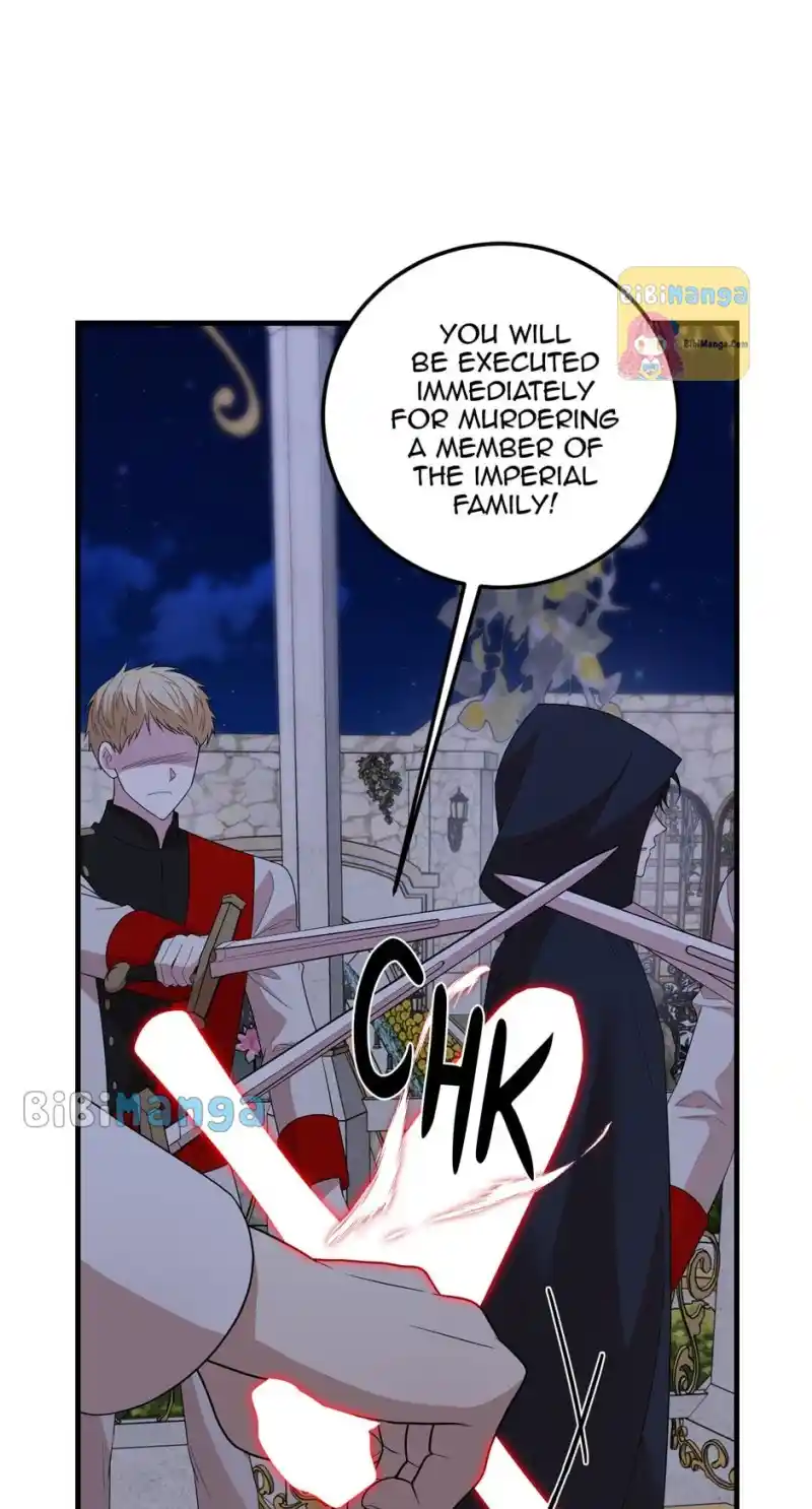 The Princess’ Dangerous Brothers Chapter 70