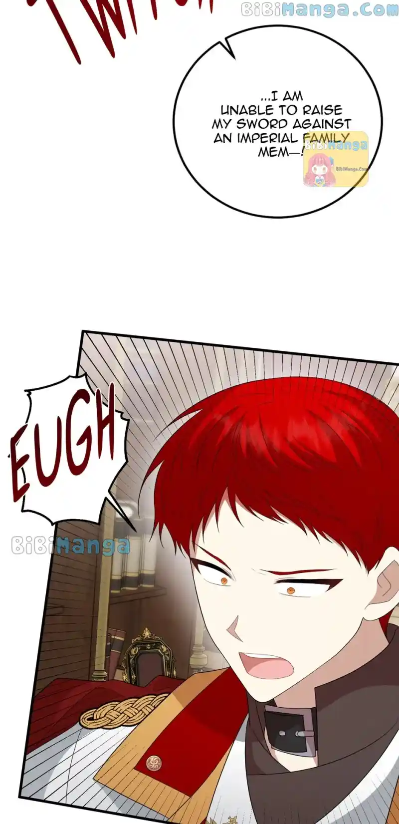 The Princess' Dangerous Brothers Chapter 71