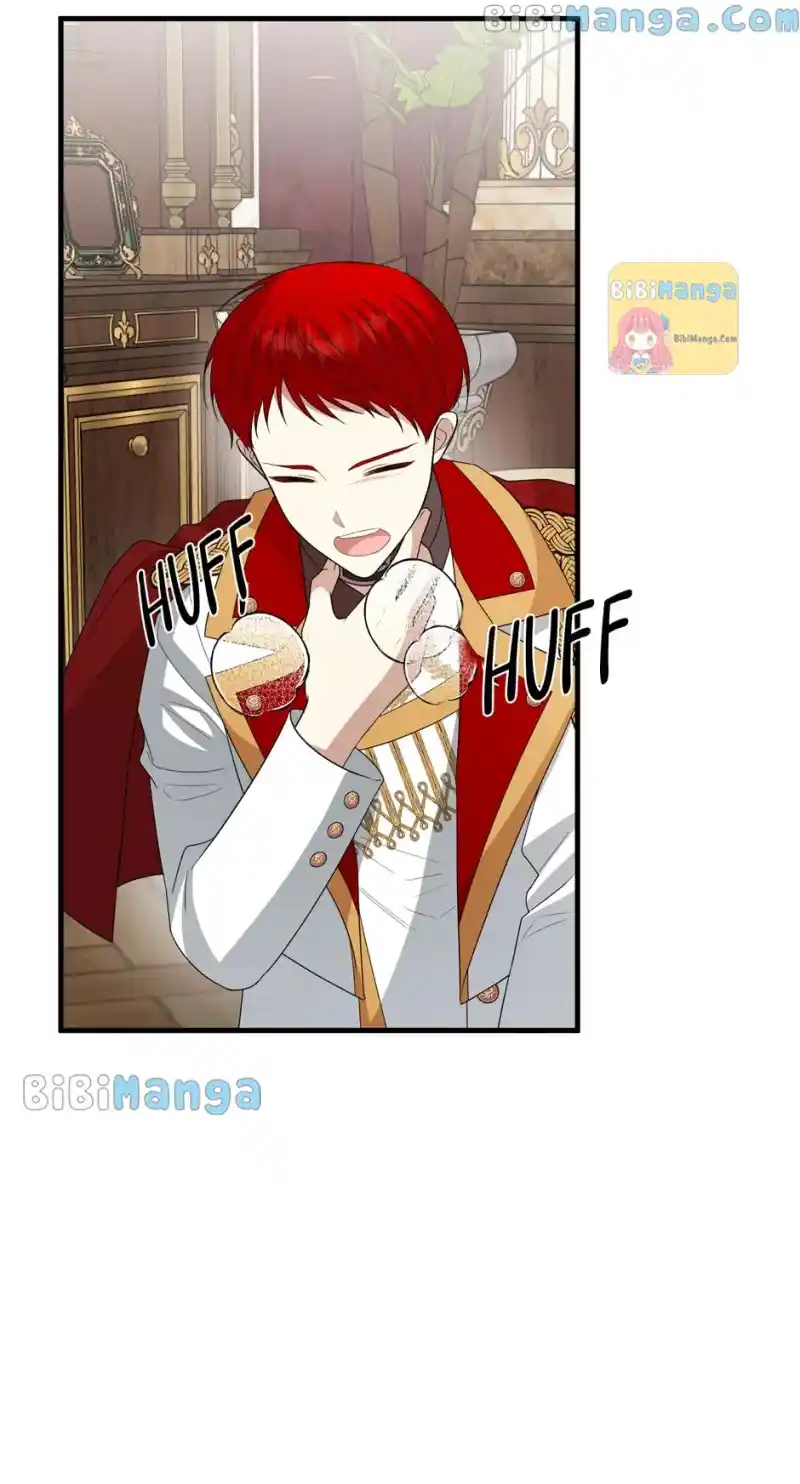 The Princess' Dangerous Brothers Chapter 71