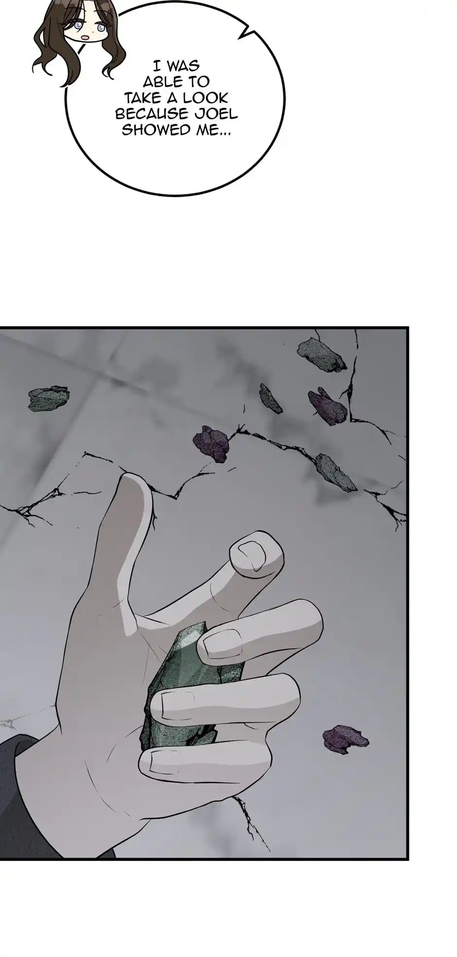 The Princess’ Dangerous Brothers Chapter 72