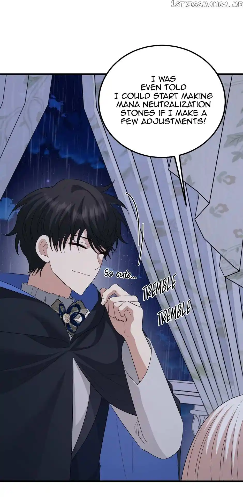 The Princess’ Dangerous Brothers Chapter 73