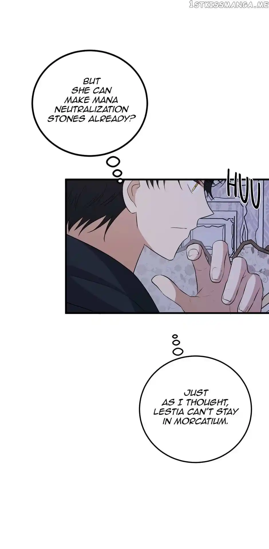 The Princess’ Dangerous Brothers Chapter 73