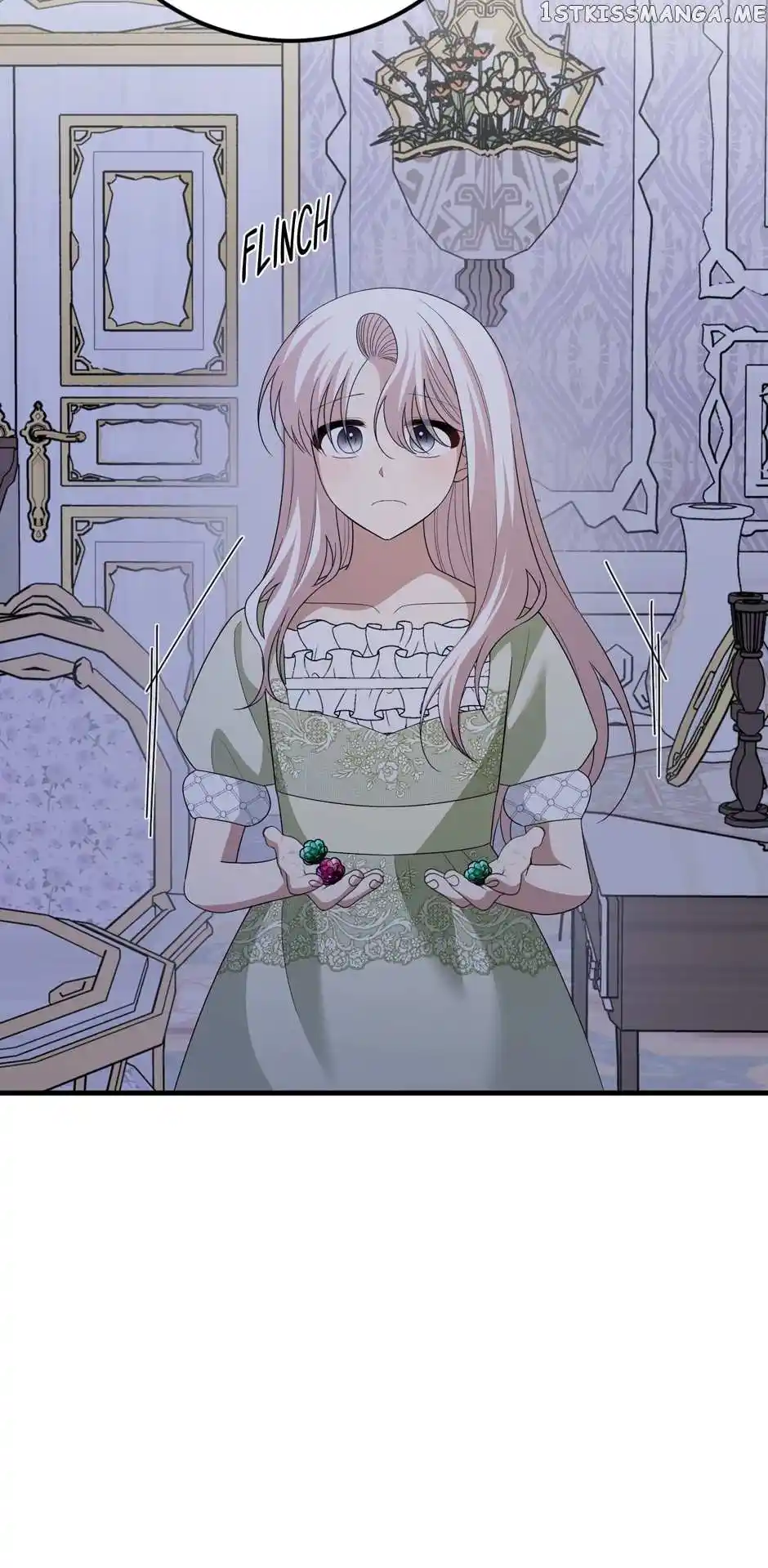 The Princess’ Dangerous Brothers Chapter 73