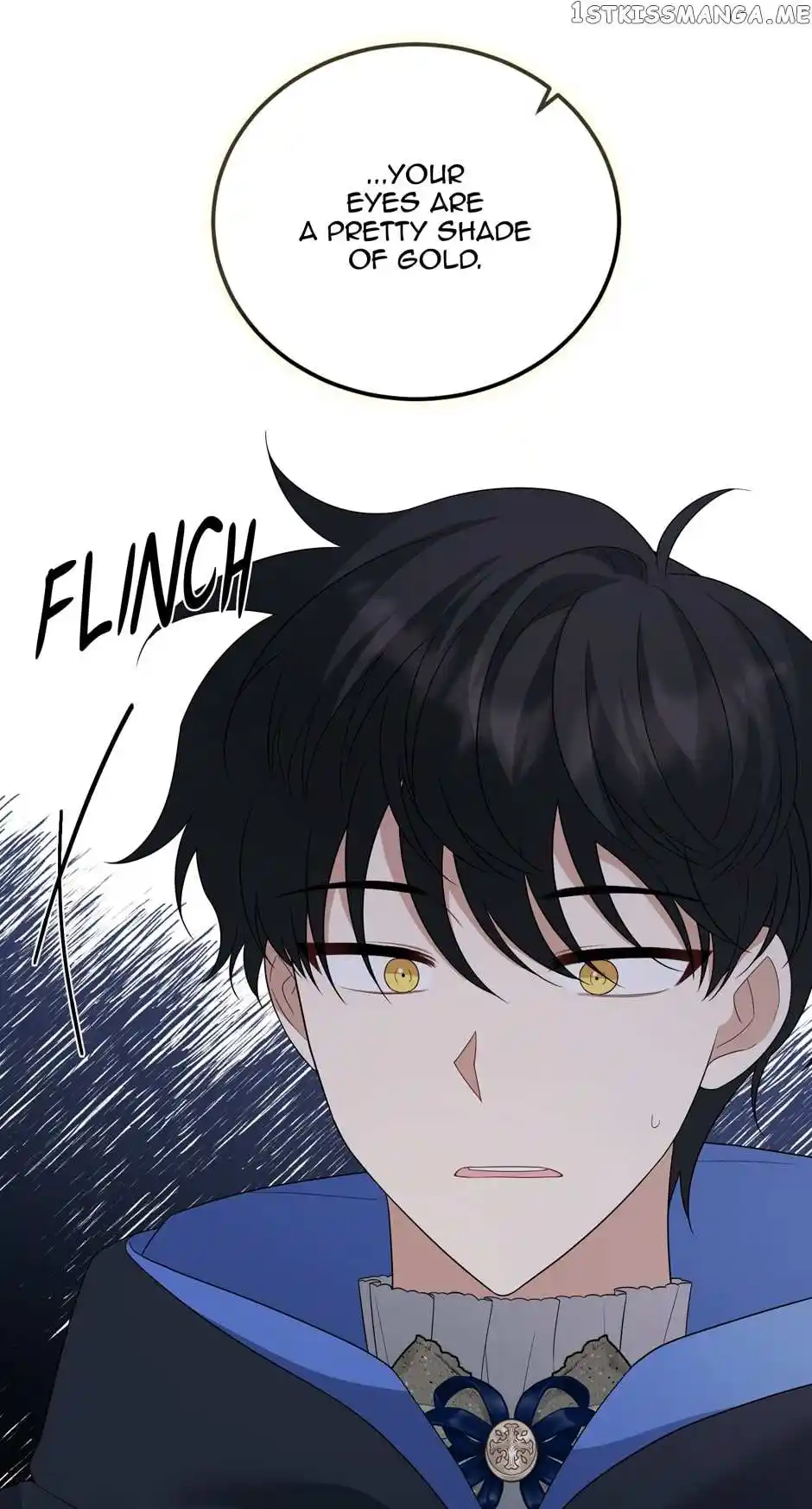 The Princess’ Dangerous Brothers Chapter 73