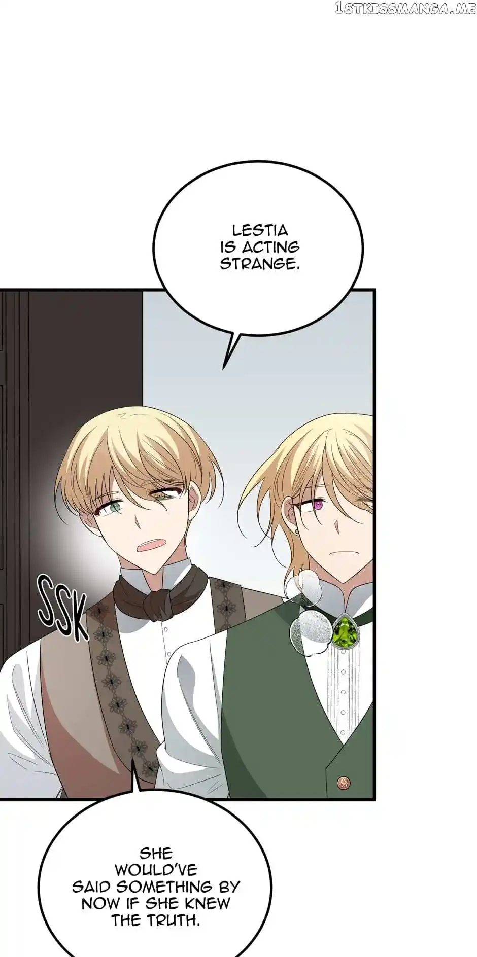 The Princess’ Dangerous Brothers Chapter 73