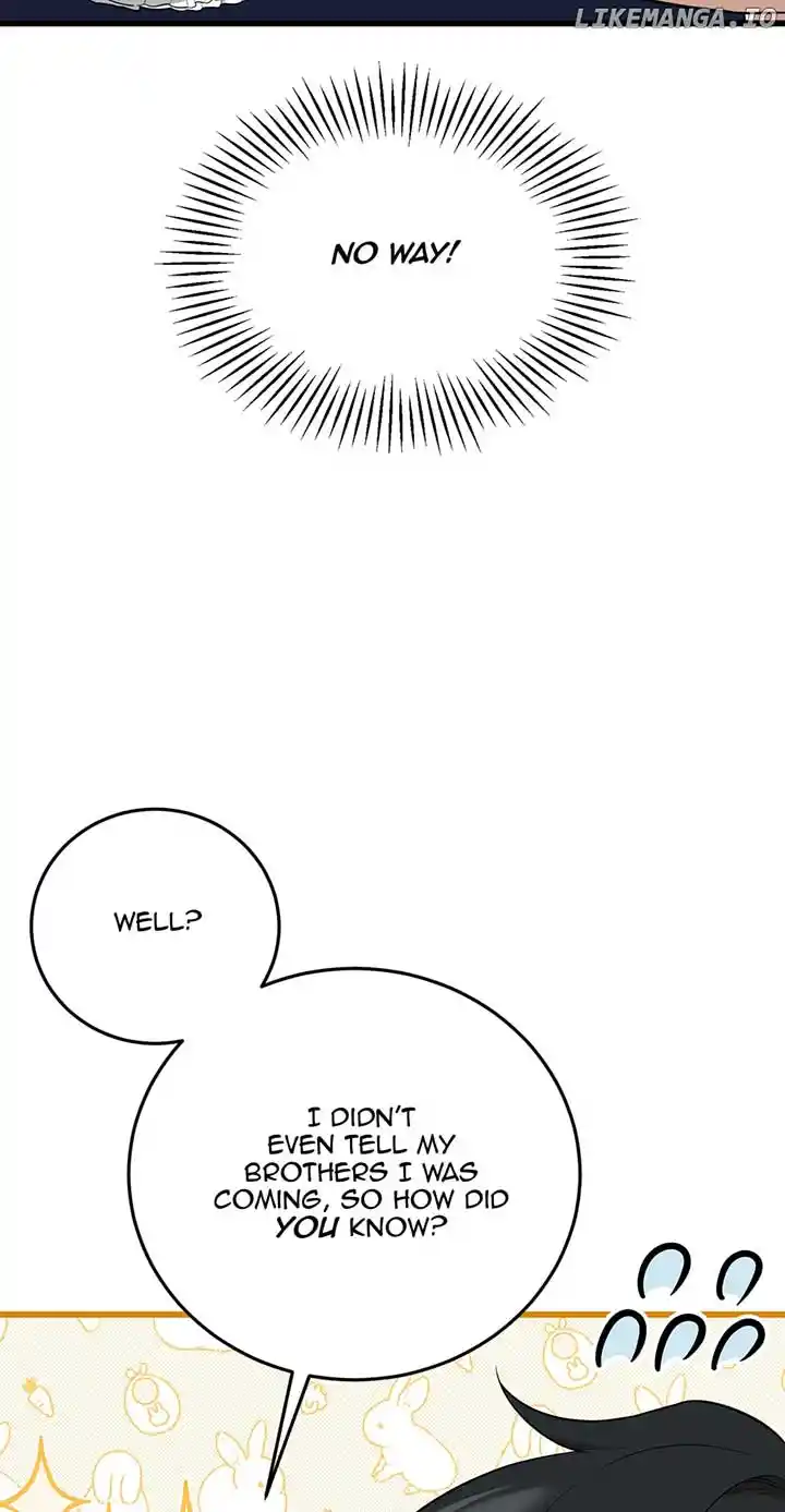 The Princess’ Dangerous Brothers Chapter 81