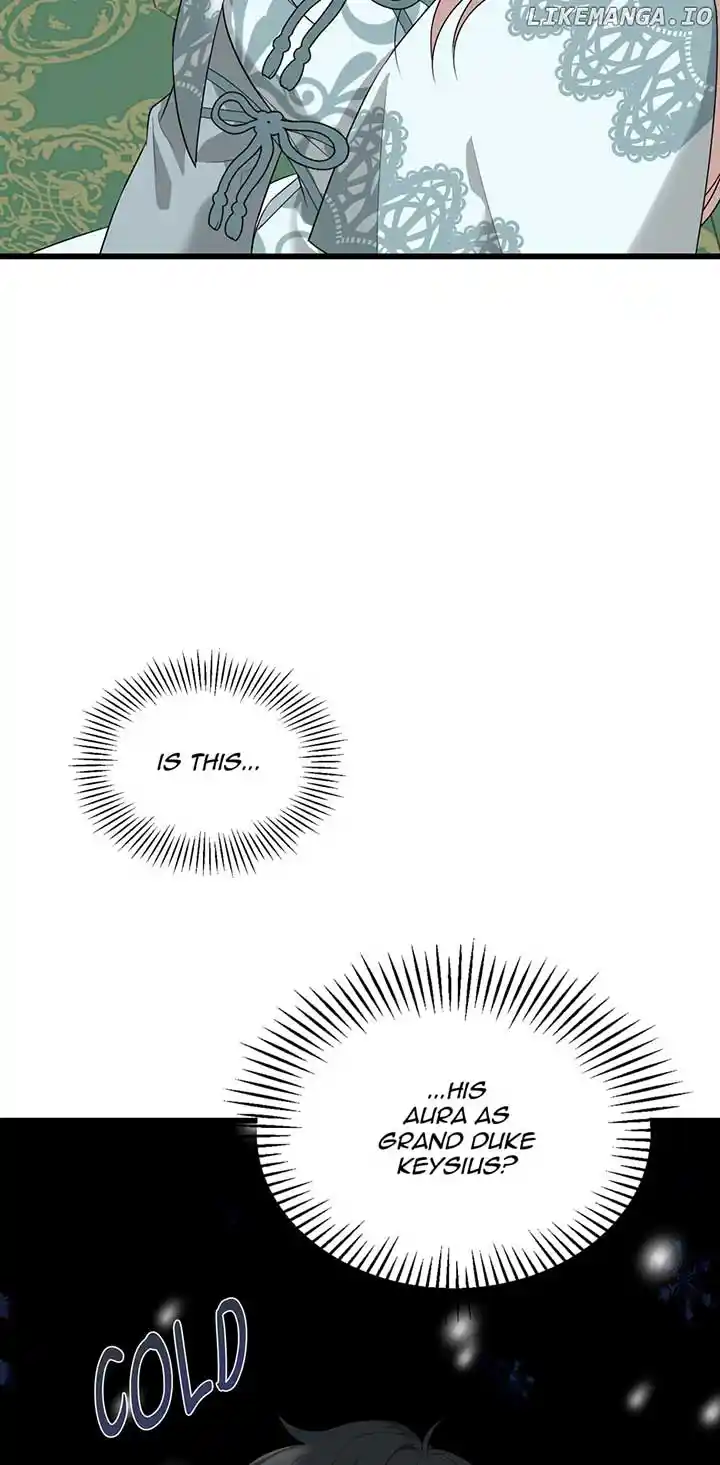 The Princess’ Dangerous Brothers Chapter 81