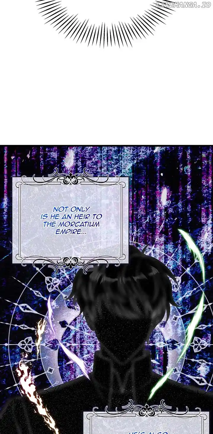 The Princess’ Dangerous Brothers Chapter 81