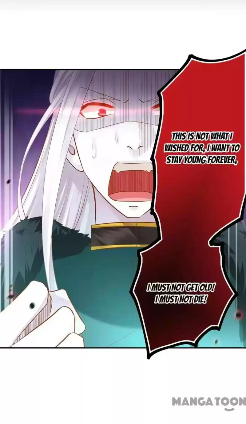 The Princess's Time Travel Chapter 117