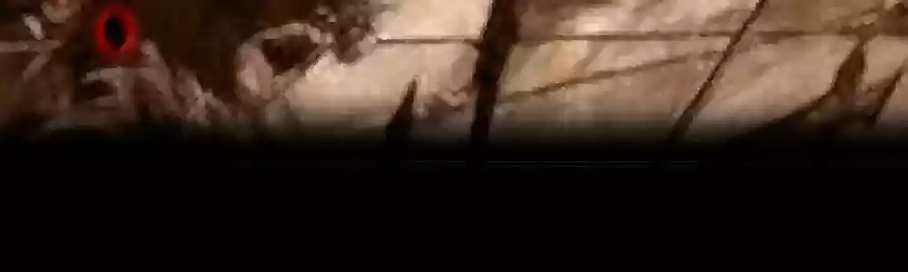 The Princess's Time Travel Chapter 165