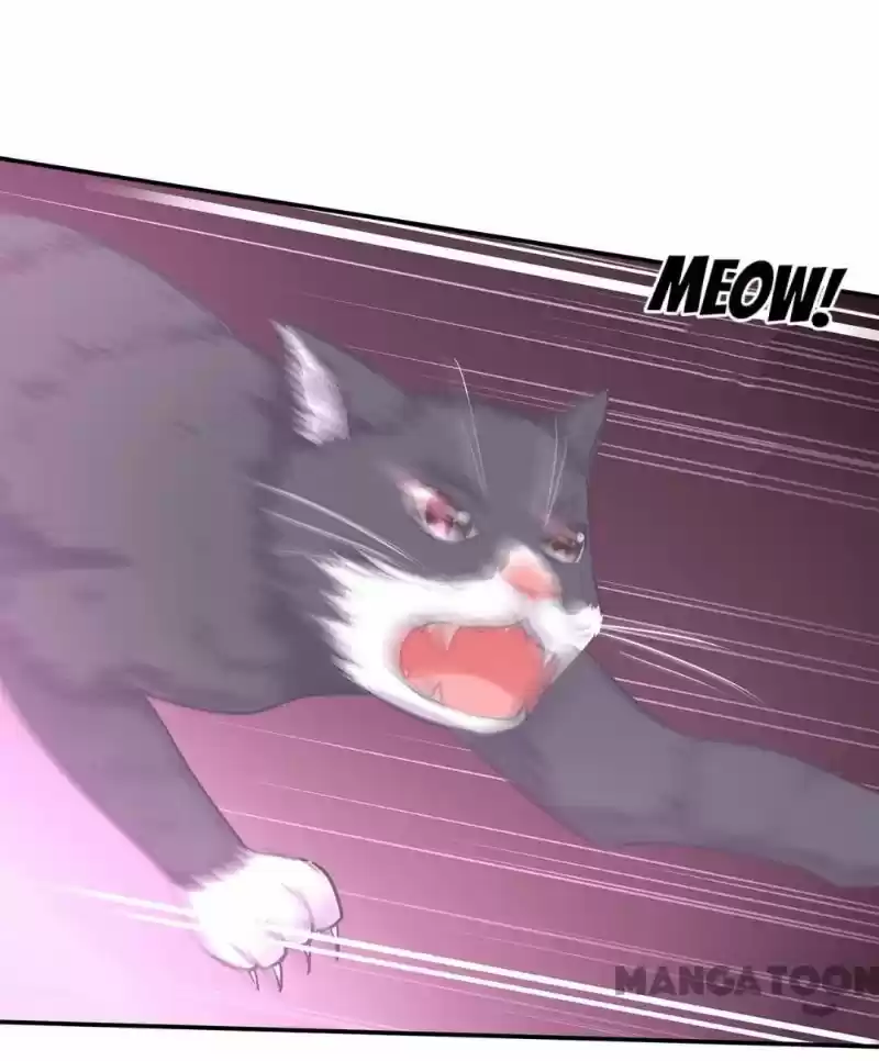 The Princess's Time Travel Chapter 250