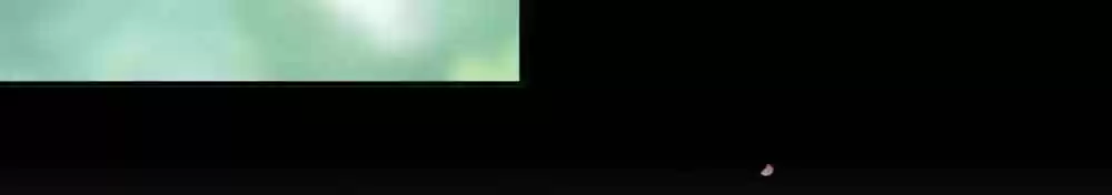 The Princess's Time Travel Chapter 81