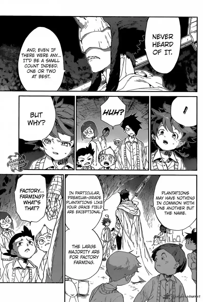 The Promised Neverland 50