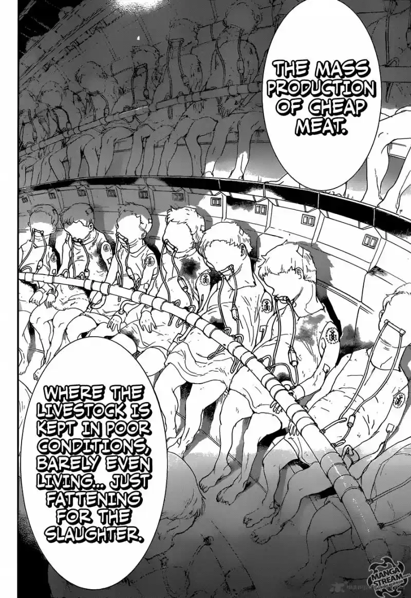 The Promised Neverland 50