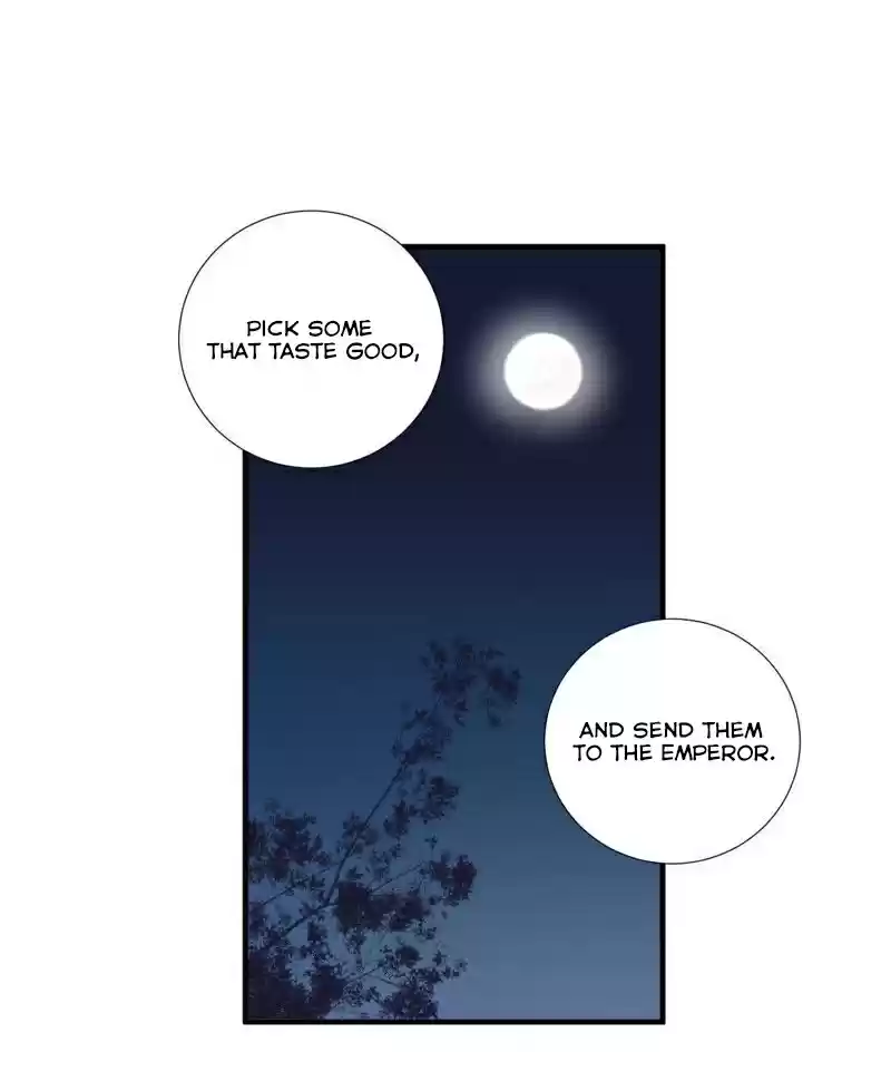 The Queen Is Busy Ch. 7 Second Male Lead Appears